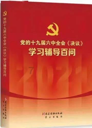 救援大嘴鸟